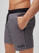 Hugo Boss - Boss Stgarfish