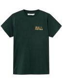 BLS HAFNIA - BLS HAFNIA CRACKED VARSITY