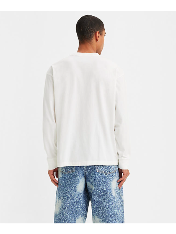 Levi's® - Levi's Skate Graphic box LS te