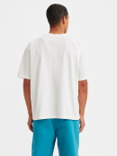 Levi's® - Levi's Skate graphic box tee