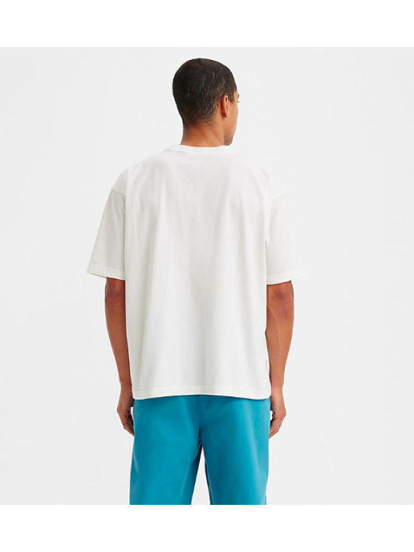 Levi's® - Levi's Skate graphic box tee