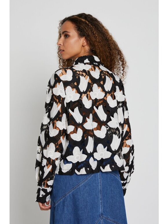 Bruuns Bazaar - Bruuns bazaar Bellflower