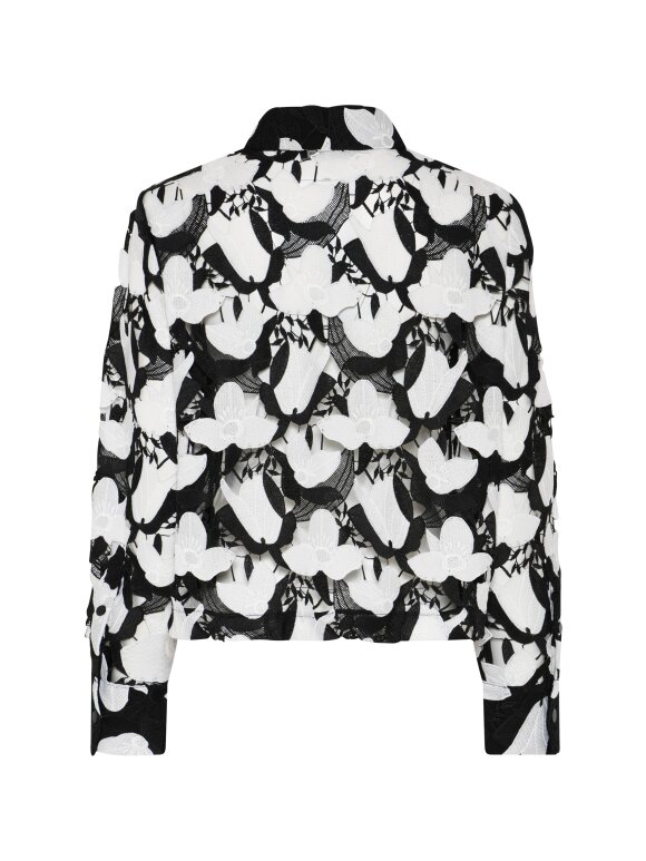 Bruuns Bazaar - Bruuns bazaar Bellflower