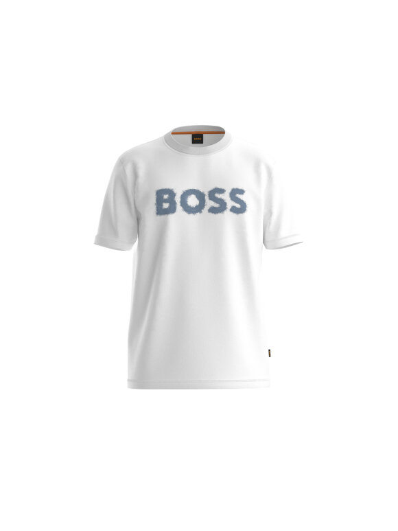 Hugo Boss - Boss Te_Frozen