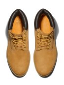 Timberland herre - Timberland premium 6 in water