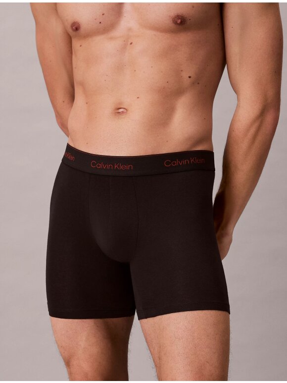 Calvin Klein Underwear - Calvin Klein BOXER BRIEF 3PK