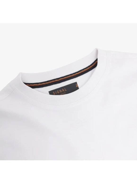 Signal - Signal EddySI