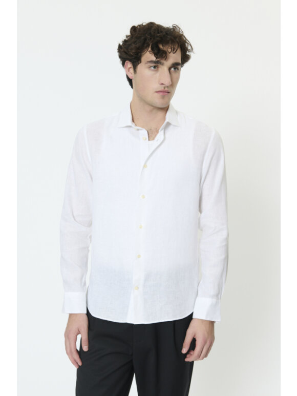 Matinique - Matinique MAmarc shot