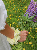 By Stær - By STær LILJE SCRUNCHIE By Stær - By STær LILJE SCRUNCHIE