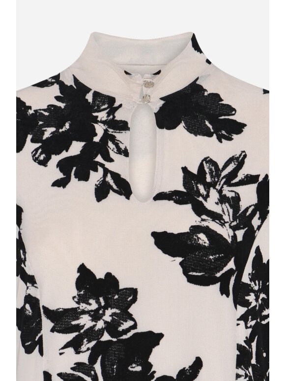 Bruuns Bazaar - Bruuns bazaar PhloxBBZinea