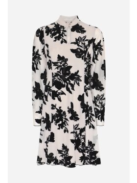 Bruuns Bazaar - Bruuns bazaar PhloxBBZinea