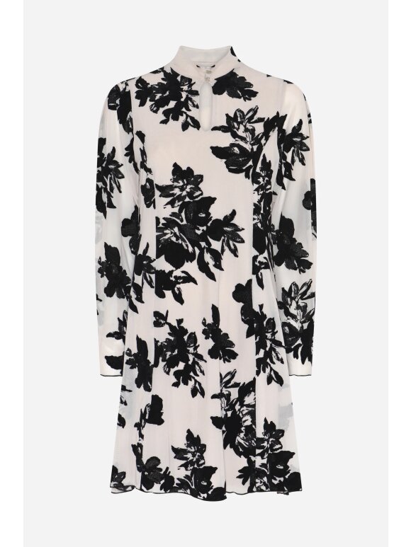 Bruuns Bazaar - Bruuns bazaar PhloxBBZinea