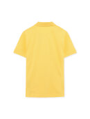 Signal - Signal NickySi + Signal - Signal NickySi +