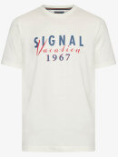 Signal - Signal Signal - Signal