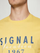 Signal - Signal