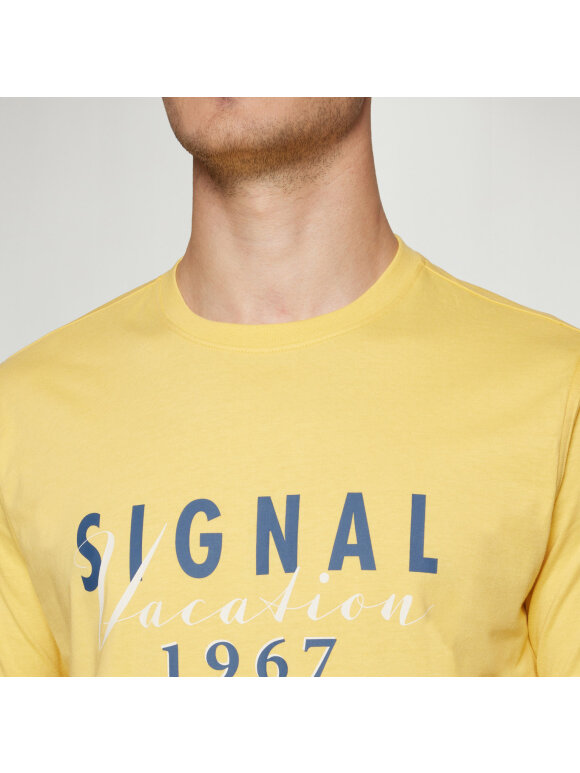 Signal - Signal