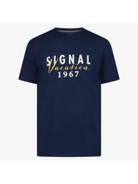 Signal - Signal