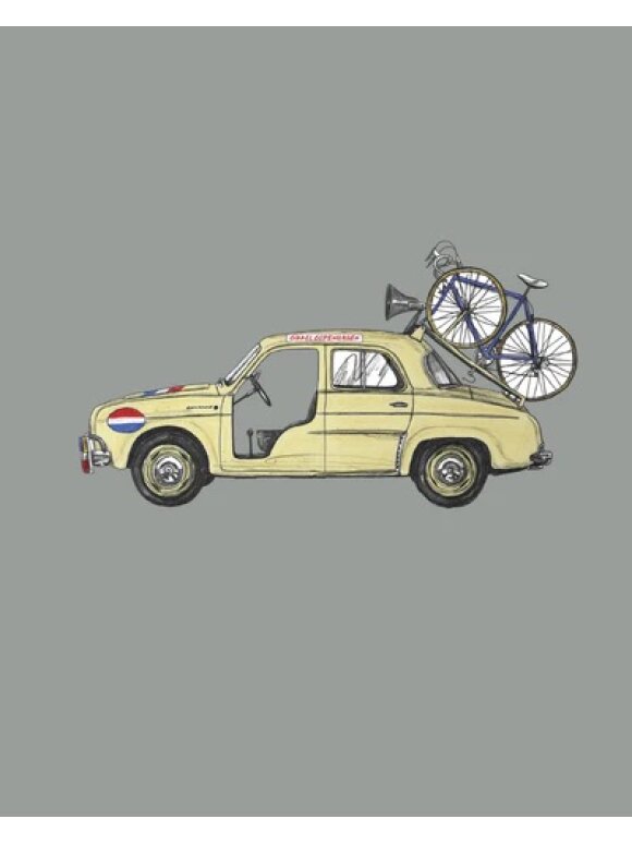 CIKKEL - Cikkel Team car Dauphine